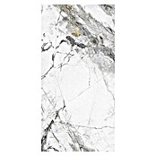 Granitogresne ploščice Marble Visage  (60 x 120 cm, Temno siva, Sijaj) | 4240 - Natursteinoptik | EAFA - Bodenfliesen | EAF - Fliesen | EA - Fliesen | E - Fliesen | BAUHAUS