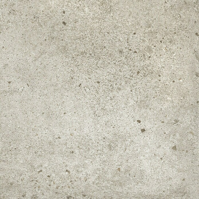 Keramische tegel Ikon (30 x 60 cm, Taupe, Mat) | BAUHAUS