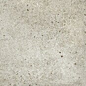 Keramische tegel Ikon (30 x 60 cm, Taupe, Mat) | BAUHAUS
