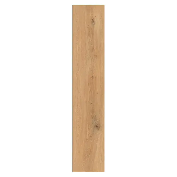 LOGOCLIC Edition Laminat Vinto - Sunshine Oak, Landhausdiele, 1.288 x 245 x 8 mm - Nahaufnahme einer einzelnen Holzdiele mit warmer Farbgebung, die eine natürliche Holzmaserung und Astlöcher zeigt.