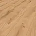Sunshine Oak