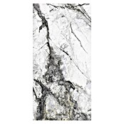Feinsteinzeugfliese Marble Visage (60 x 120 cm, Dunkelgrau, Glänzend) | BAUHAUS