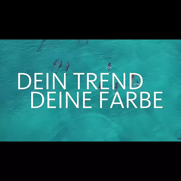 SCHÖNER WOHNEN-Farbe Wandfarbe Trendfarbe - Lagune, Matt, 2,5 l, Konservierungsmittelfrei - SCHNER WOHNEN Trendfarbe Lagune | Unbeschwert und Belebend