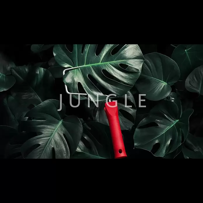 SCHÖNER WOHNEN-Farbe Wandfarbe Trendfarbe - Jungle, Matt, 2,5 l, Konservierungsmittelfrei - SCHNER WOHNEN Trendfarbe Jungle | Faszinierend und Geheimnisvoll