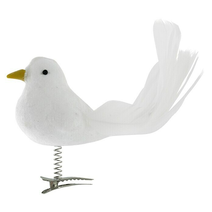 Pigeon des neiges avec clip 