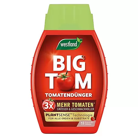 Westland  Tomatendünger Big Tom