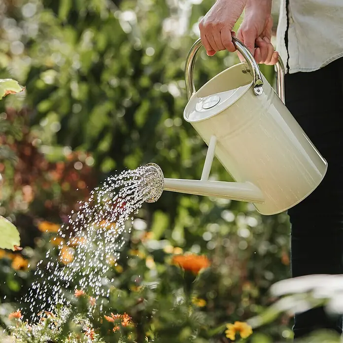 Kent & Stowe Gießkanne - Creme, 4,5 l - Eine cremefarbene Gießkanne aus Metall mit silbernem Griff wird benutzt, um Pflanzen mit Wasser zu versorgen, wobei das Wasser glänzend herausspritzt.