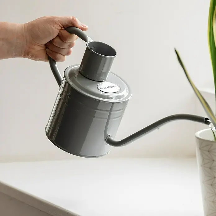 Kent & Stowe Gießkanne - Grau, 1 l - Graue Kettle & Stowe Gießkanne, die in eine Pflanze gießt, ideal für Zimmerpflanzen und Gartenarbeit.