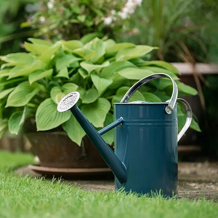 Kent & Stowe Gießkanne - Blau, 4,5 l - Nahaufnahme einer dunkelblauen Gießkanne aus Metall mit silbernem Griff und Brausekopf, die auf einem Rasen vor Pflanzen steht.