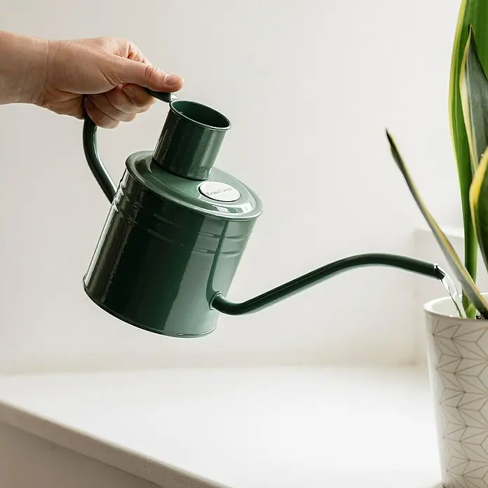 Kent & Stowe Gießkanne - Grün, 1 l - Eine grüne Gießkanne wird von einer Hand gehalten, um eine Zimmerpflanze zu gießen. Elegantes Design für die Pflanzenpflege.