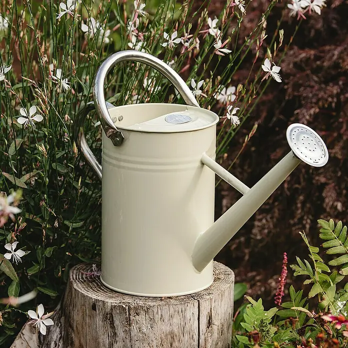 Kent & Stowe Gießkanne - Creme, 9 l - Eine cremefarbene Gießkanne mit silbernem Griff und Brausekopf steht auf einem Baumstumpf inmitten von Pflanzen.