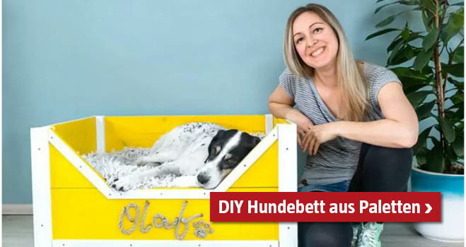 DIY Hundebett aus Paletten