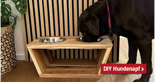 DIY Hundenapf