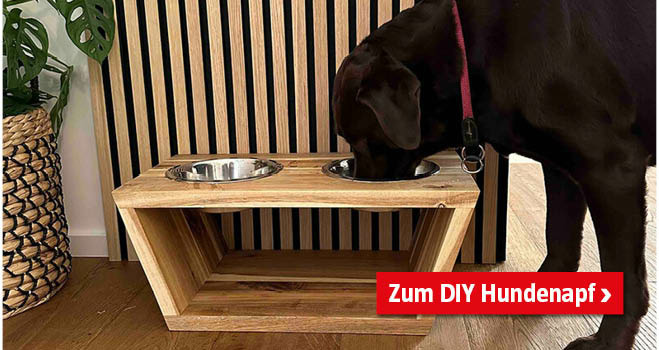 DIY Hundenapf
