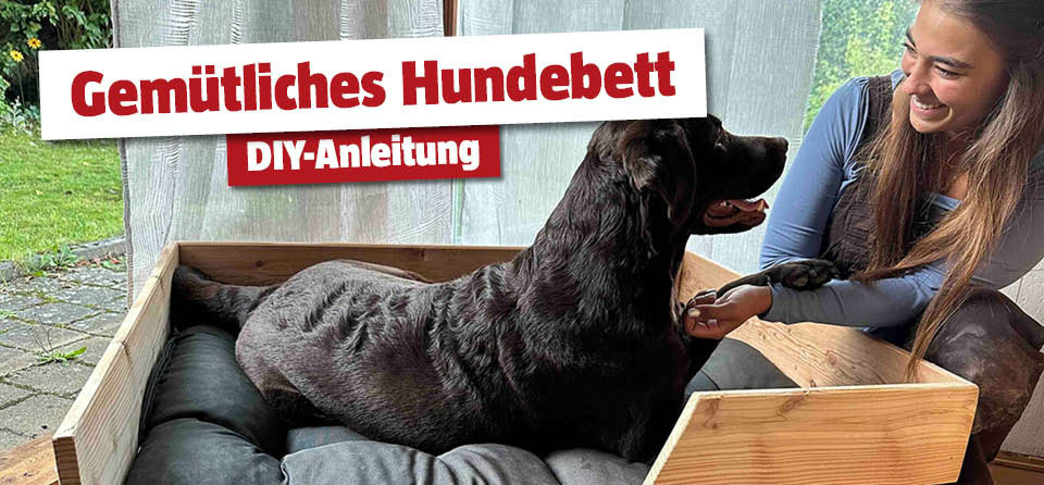 DIY Hundebett