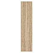 Kit atelier Pared de cristal Loft Madera (632 x 1.300 mm, Vidrio de seguridad (ESG)) | BAUHAUS