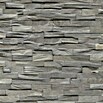 Indo Holzpaneele (Walnuss, 610 x 150 x 10 mm, 10 Paneele)