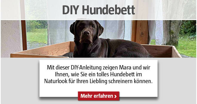 DIY Hundebett