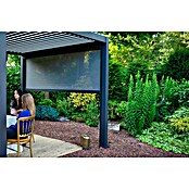Sorara Seitenelement Rollo Solid & Basic (360 cm, Anthrazit) | BAUHAUS