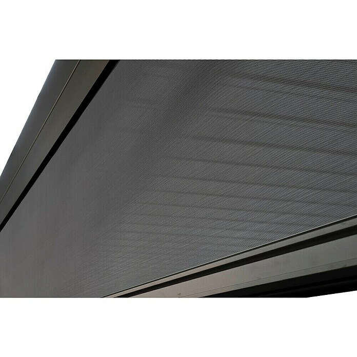 Sorara Seitenelement Rollo Solid & Basic (360 cm, Anthrazit) | BAUHAUS