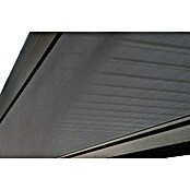 Sorara Seitenelement Rollo Solid & Basic (360 cm, Anthrazit) | BAUHAUS