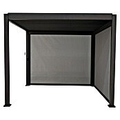 Sorara Seitenelement Rollo Solid & Basic (360 cm, Anthrazit) | BAUHAUS