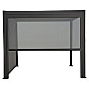 Sorara Seitenelement Rollo Solid & Basic (360 cm, Anthrazit) | BAUHAUS