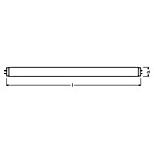 Osram Tubo fluorescente Interna (T8, Blanco cálido, 58 W, Largo: 150 cm, Clase de eficiencia energética: A)