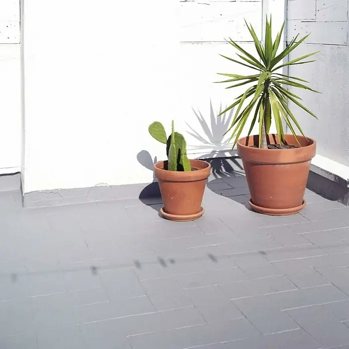 Soprema Impermeabilizante Campolin Fiber - Gris, 20 kg - Dos plantas en maceta, un cactus y una yuca, sobre un suelo de baldosas grises contra una pared blanca. Proyectan largas sombras.