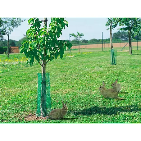 Nortene  Protector para plantas Treeguard