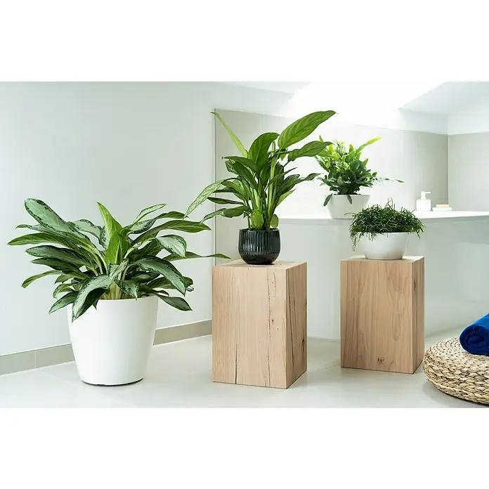 Artevasi Blumentopf Miami 20cm Creme - Moderner Übertopf Aus Recyceltem Kunststoff