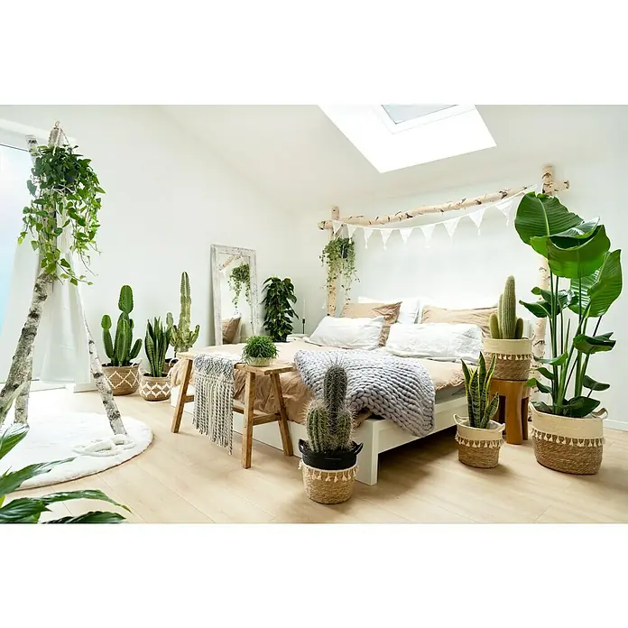 Fellteppich Happy - Elfenbein, Durchmesser: 160 cm, 100 % Polyester (Flor) - Helles Schlafzimmer mit Pflanzen in Körben und weißer Bettwäsche unter einem Dachfenster. Der Raum strahlt eine natürliche, ruhige Atmosphäre aus.
