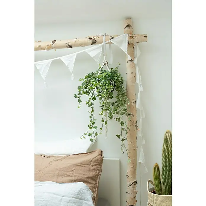 Piardino Blumenampel Mix - Verschiedene Sorten, Topfgröße: 19 cm - Zimmer mit Birkenholz-Bettgestell, an dem eine Hängepflanze und weiße Wimpel hängen.