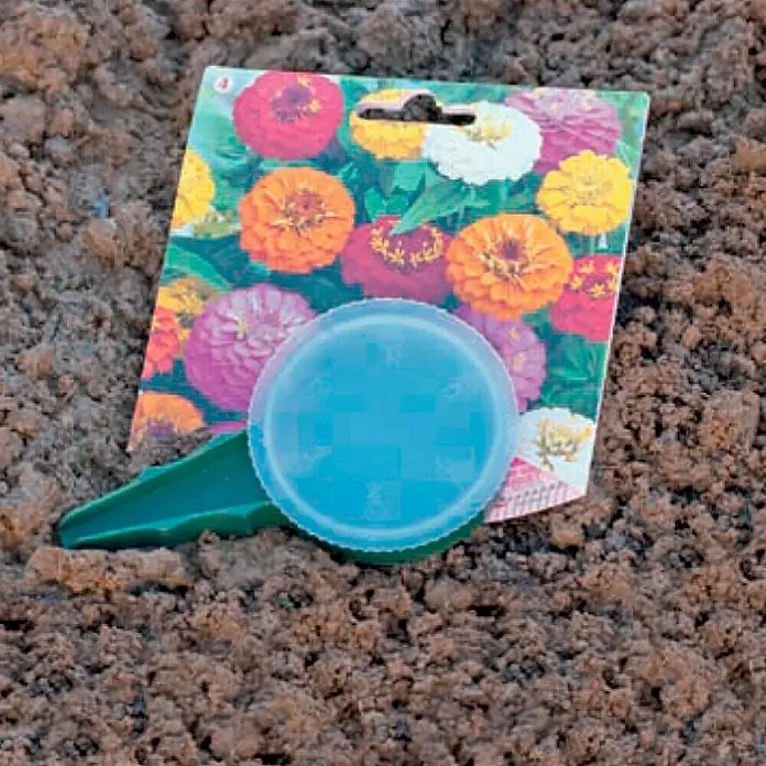 Nortene Sembradora Seed - Diámetro: 6 cm, Plástico - Imagen de un paquete de semillas de zinnia con una cubierta protectora azul, clavado en la tierra.