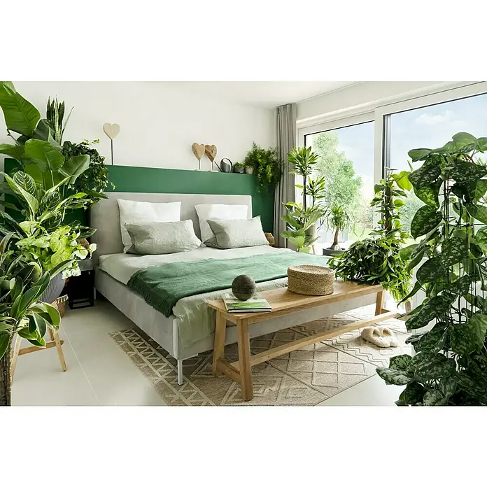 Scheurich Gießkanne Loop - Anthracite, 1,4 l - Helle Schlafzimmereinrichtung mit einem grauen Bett, einer grünen Tagesdecke und vielen Pflanzen, die eine ruhige und natürliche Atmosphäre schaffen.