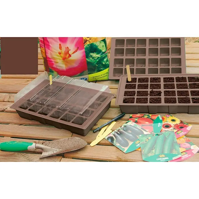 Nortene Kit de cultivo Planting - L x An: 35 x 23,5 cm, Marrón - Bandejas de siembra con sustrato y paquetes de semillas. Para cultivar tomates, pepinos y berenjenas en casa o invernadero.