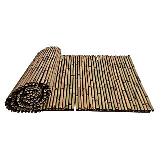 Ocultación de bambú barnizado (L x Al: 3 x 1,5 m, Marrón)