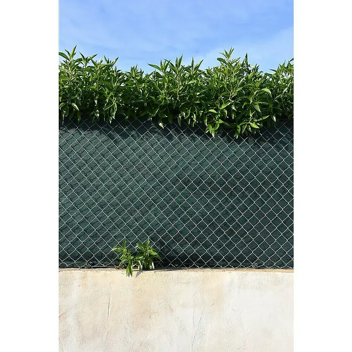 Faura Malla de ocultación 160 - 5 x 1 m, Verde - Plantas verdes crecen sobre una valla de tela metálica, situada sobre una pared de hormigón clara, bajo un cielo azul despejado.