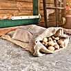 Windhager Jutesack (L x B: 60 x 40 cm, Natur) | BAUHAUS