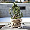 Windhager Jutesack (L x B: 60 x 40 cm, Natur) | BAUHAUS