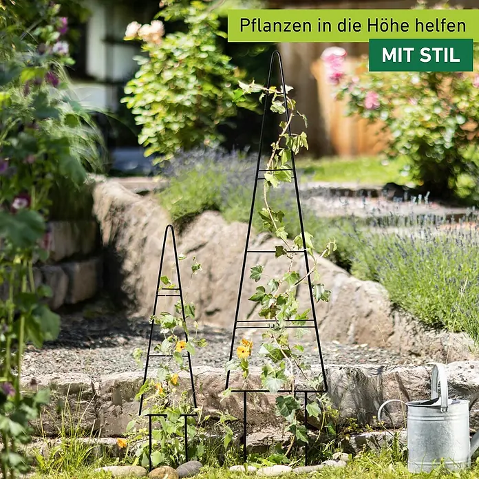Windhager Rankhilfe Tree - B x H: 20 x 80 cm, Metall - Gartenbild mit zwei schwarzen Rankhilfen in unterschiedlichen Größen, bewachsen mit Kletterpflanzen, die im Garten stehen.