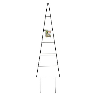 Windhager Rankhilfe Tree (B x H: 40 x 150 cm, Metall, Anthrazit)