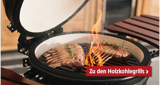 Holzkohlegrills