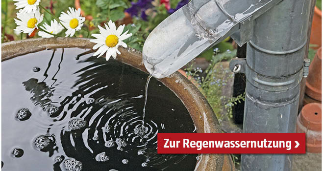 Selbstbewsserungsspitzen 4er Set  Automatische Bewsserung Fr  Topfpflanzen, Tomaten & Hausgarten | Ideal Fr Urlaub Selbstbewsserung  Topfpflanzen