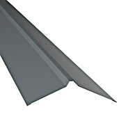 Metdach Dachfirst Gerade PP12 (Anthrazit, Länge: 200 cm, Stahl) | BAUHAUS