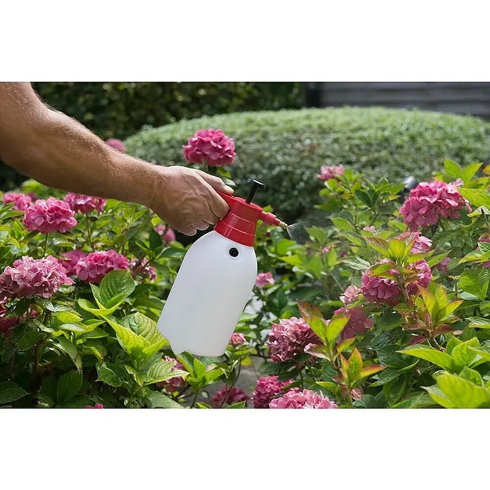 Kreator Pulverizador KRTGR6802 - 2 l, Plástico, Blanco - Primer plano de una persona rociando hortensias rosas con un pulverizador blanco con mango rojo, para protegerlas.