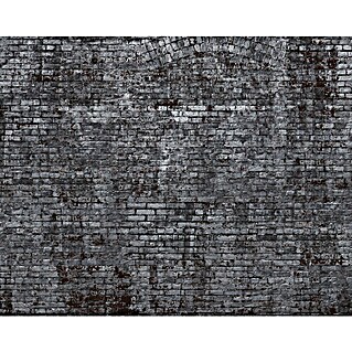 Rasch Fototapete Digitaldruck Mauerwerk (B x H: 300 x 372 cm, Vlies)