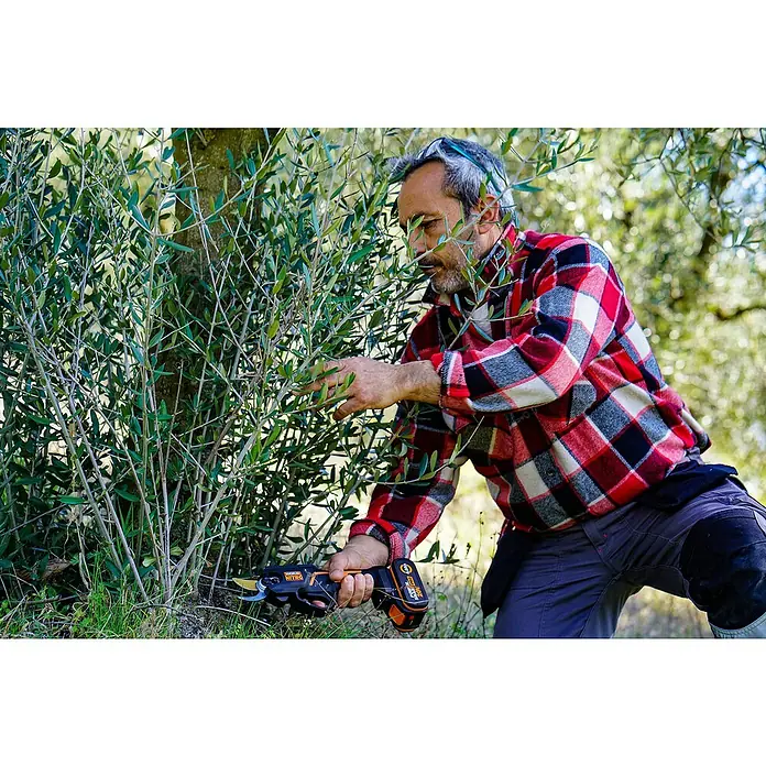Worx PowerShare 20V Akku-Astschere WG330E.9 - 20 V, Ohne Akku, Max. Aststärke: 25 mm - Ein Mann schneidet einen Baum mit einer Akku-Gartenschere Worx Nitro, die präzise Schnitte ermöglicht.