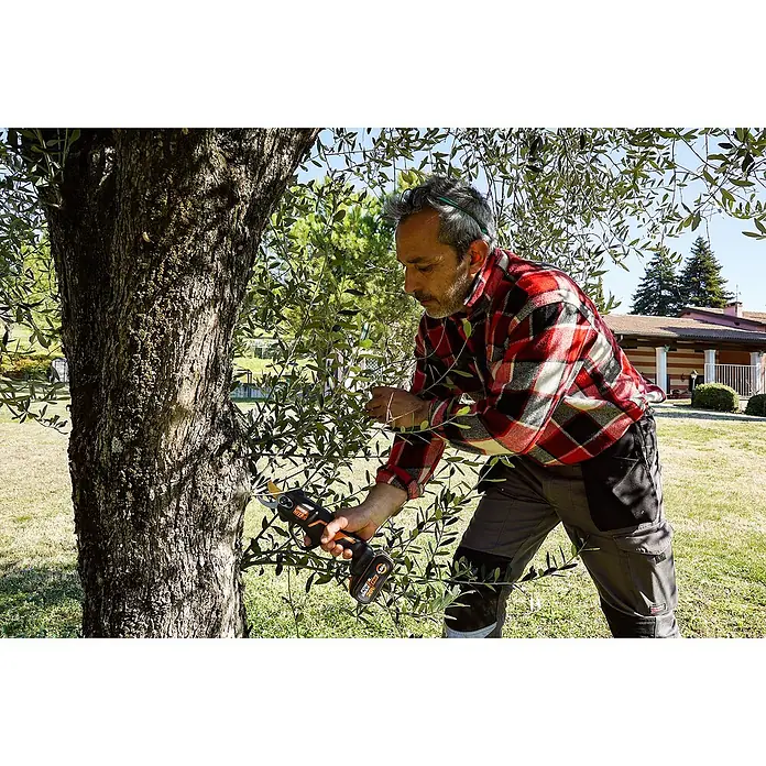 Worx PowerShare 20V Akku-Astschere WG330E.9 - 20 V, Ohne Akku, Max. Aststärke: 25 mm - Ein Mann, der einen Baum mit einer WORX-Akku-Gartenschere beschneidet, wobei der Fokus auf dem Werkzeug und der Gartenarbeit liegt.