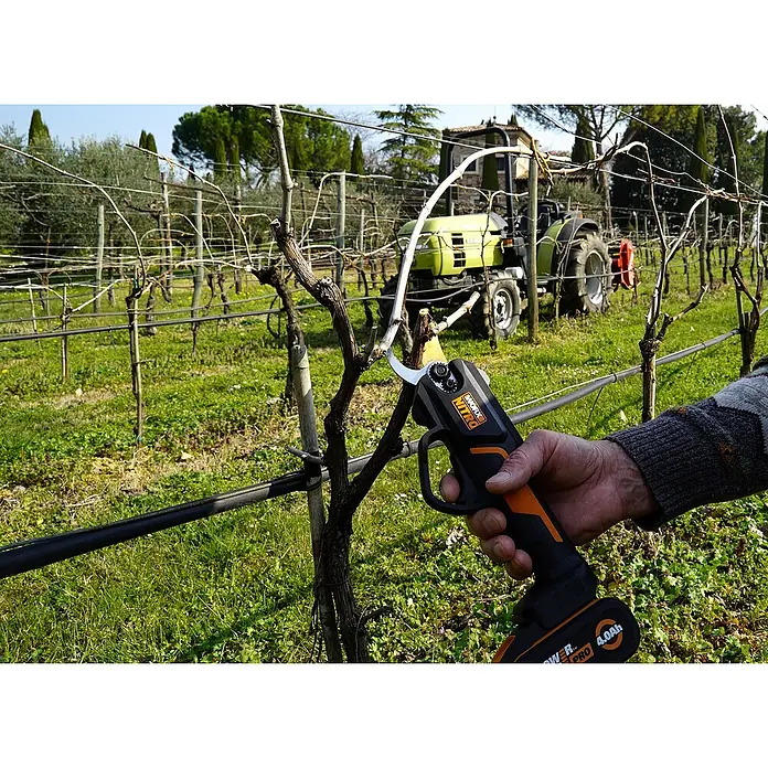 Worx PowerShare 20V Akku-Astschere WG330E.9 - 20 V, Ohne Akku, Max. Aststärke: 25 mm - Bild einer WORX Nitro Akku-Gartenschere beim Beschneiden einer Weinrebe, mit einem Traktor im Hintergrund.